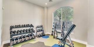 Saddle Creek and The Cove Saddle Creek and The Cove Gallery 24