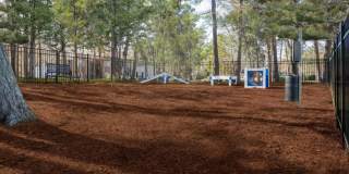 Springwood Park Gallery 13