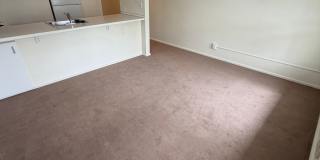 (343) Palatine Apartment  1 Bdrm / 1 Bthrm Gallery 13