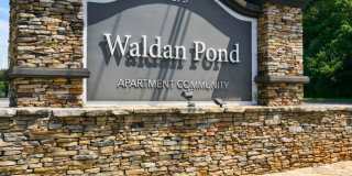 Waldan Pond Gallery 14