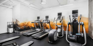 Dexter Lake Union Gallery 42