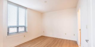 The Veridian Gallery 7