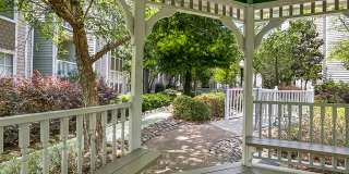 Palmetto Creek Gallery 25