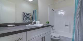 526 Ardmore Gallery 13