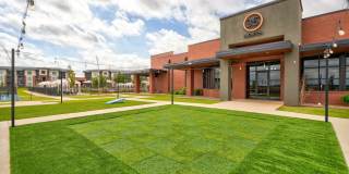 35 Degrees North Gallery 20