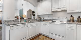 Palmetto Creek Gallery 7