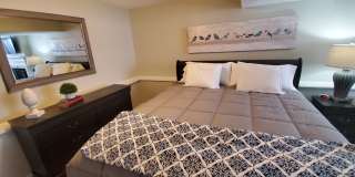 Fully Furnished Luxury Rental Gallery 13