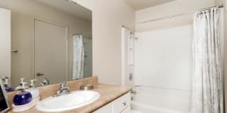 Lantern Cove Gallery 39