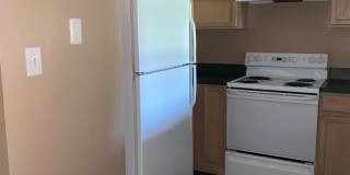 907 Clarendon St~Haymount Gallery 8