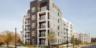 Vine North Hills Gallery 32