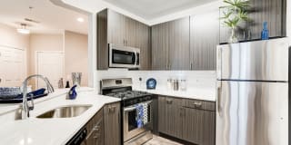 Regent's Park Gallery 3