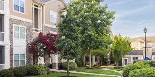 Oasis at Montclair Gallery 5