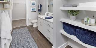 Argyle Lake at Oakleaf Town Center Gallery 12