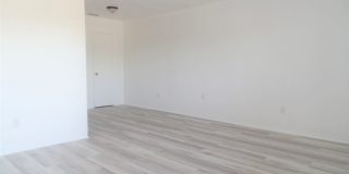 Spacious one-bedroom near Pinellas Trail and Azalea Rec area Spacious one-bedroom near Pinellas Trail and Azalea Rec area Gallery 4