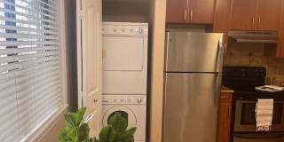 Fountain Lake Bradenton Gallery 43