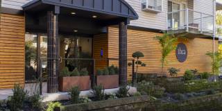 Thea Apartments Gallery 1