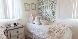 Huge 2 story 8 bed room Home: a hop and a skip from SDSU!  You will never be late to class! Gallery 16
