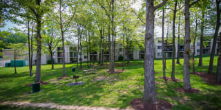 Ashley Apartments Gallery 18