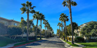 7972 Aldea Cir Gallery 32