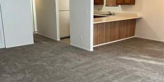 204 Pine Hollow Gallery 5