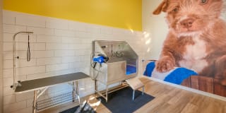 Bluesky Landing Apartments Gallery 22