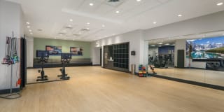 The Victor Gallery 8