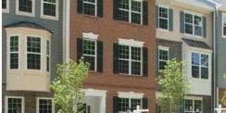 3991 BRADYS HILL Road Gallery 1