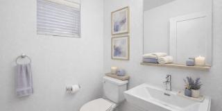 Banyan Brighton Gallery 20