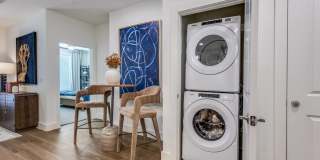 Aura Bella Gallery 8