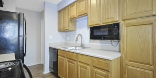 The Maxwell Gallery 17