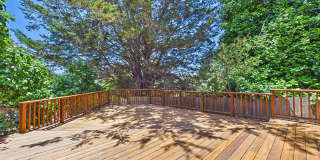 Beautiful serene and private Belmont home Gallery 31
