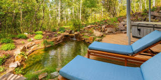 239 Antler Ridge Lane Gallery 28