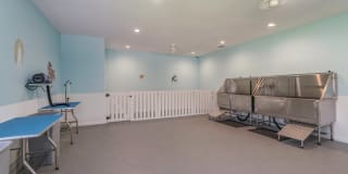 The Edgewater at Klein Gallery 26