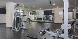 Solena West Miami Gallery 8