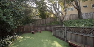 Pacific Vista Gallery 11