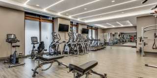 Ashton Austin Ashton Austin Gallery 12