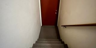 Carat Loop- Gallery 6