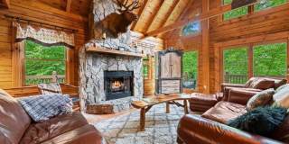 49 Dandelion Lane Gallery 1