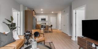The Aurilla Gallery 56