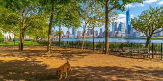 Newport Rentals Gallery 15