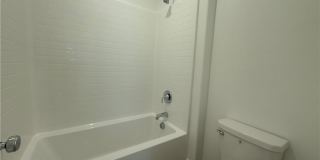 301 Shoveler Gallery 21