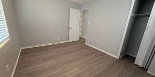 Welcome to St. Petersburg!!! Gallery 13