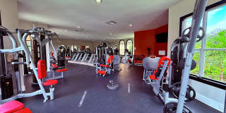 TGM Bermuda Island Gallery 21