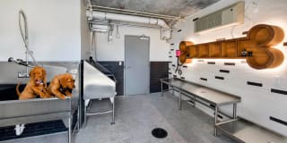 AMLI Midtown 29 Gallery 12