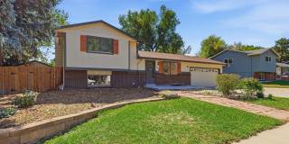 3 bed 2 bath tri-level in Acres Green! Gallery 1