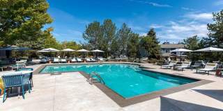 Palomino Park Resort Gallery 27