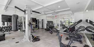 Alta Wren Gallery 50