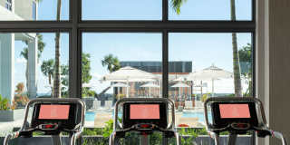 Cascade Link at Douglas Gallery 19