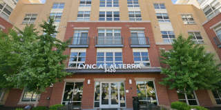 Lync at Alterra Gallery 2