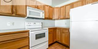 Beautiful 3 Bed 2 Bath Home in Quiet Neighborhood Gallery 4